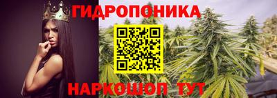 гидропоника Краснокаменск