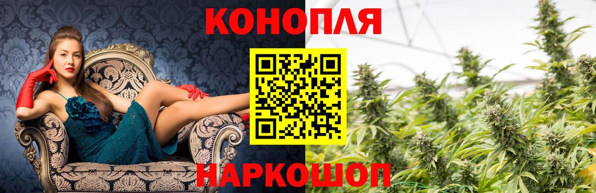 Конопля гибрид Карпинск